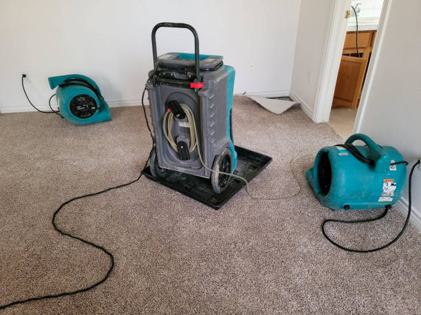 Best 24-hour water damage restoration  in Pierce, CO