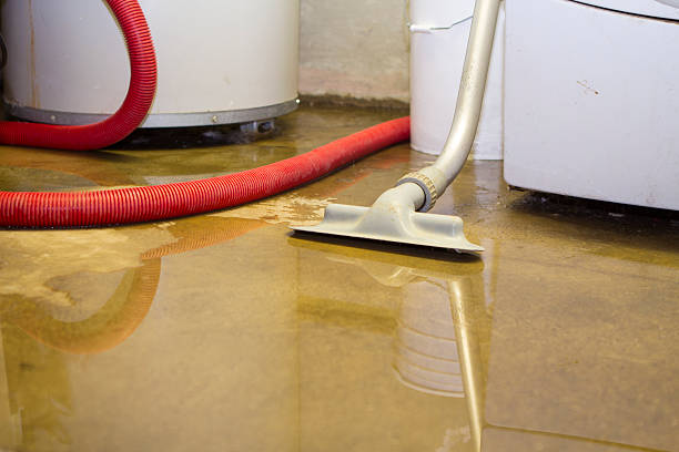 Best Commercial water damage restoration  in Pierce, CO