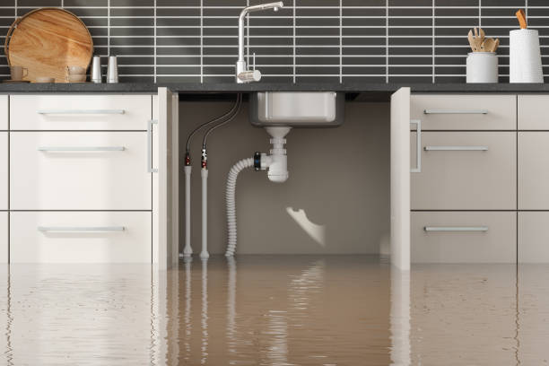 Best Water damage cleanup near me  in Pierce, CO