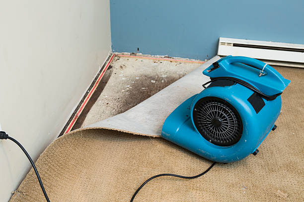 Best Fire Damage Restoration  in Pierce, CO